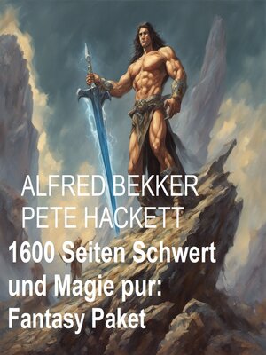 cover image of 1600 Seiten Schwert und Magie pur